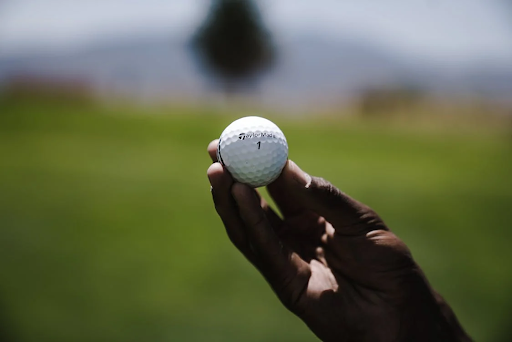 A hand holding a golf ball 